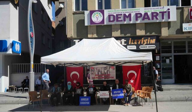 Evladı dağa kaçırılan anne: “Asker de polis de benim oğlumdur”