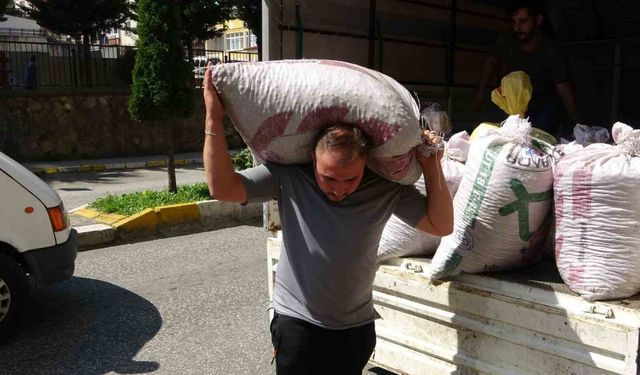 Fındık fiyatı haftaya düşüşle başladı