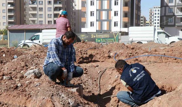 Haliliye’de yeşil alan çalışması