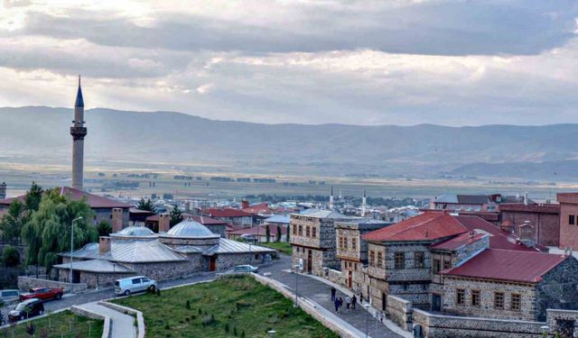 İşte Erzurum’un nüfus karnesi