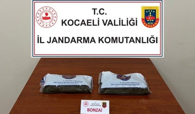 İzmit, Körfez ve Kartepe’de uyuşturucu operasyonları