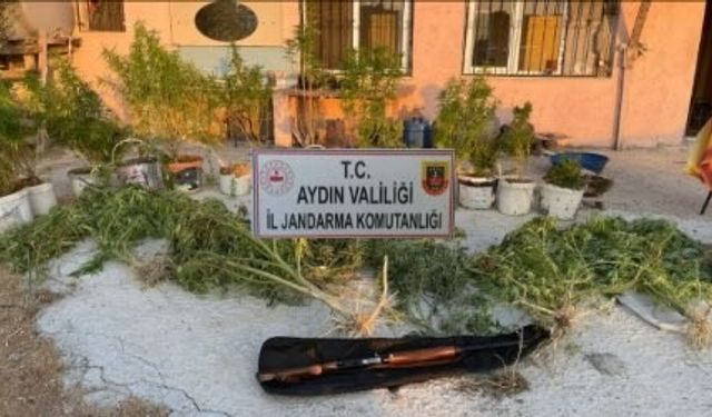 Jandarmadan uyuşturucu baskını: 1 tutuklama