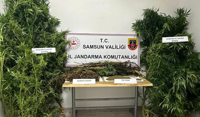 Jandarmadan uyuşturucu operasyonu: 2 gözaltı