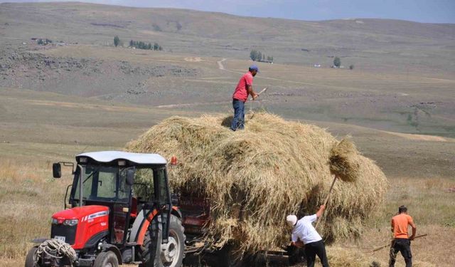 Kars’ta çiftçilerin sıcak havada ot toplama mesaisi