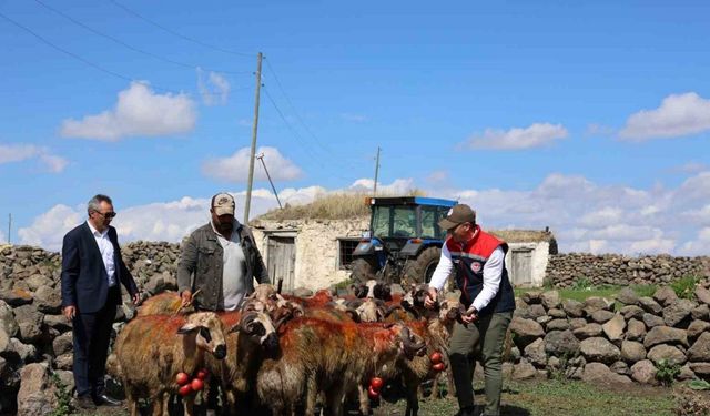 Kars’ta koç katımı yapıldı