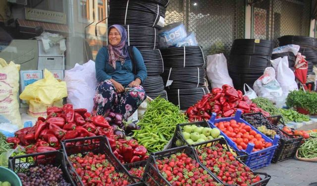 Kaz Dağları’nda yetişen organik ürünler ilçe pazarında satılıyor