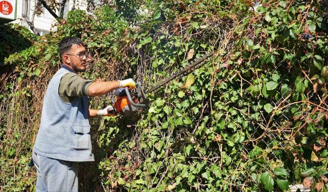 Keçiören’de mevsimlik budama çalışmaları gerçekleştiriliyor