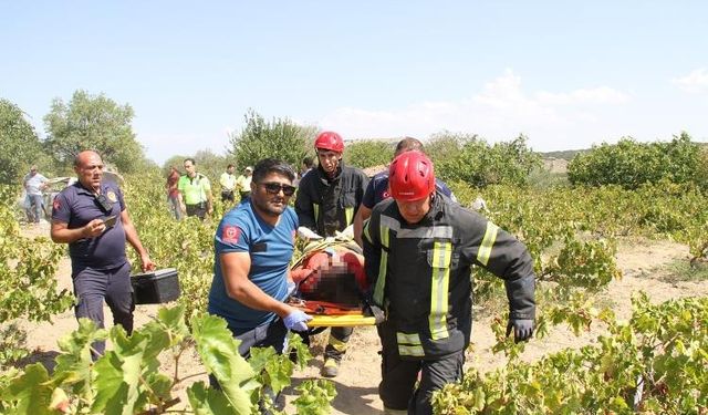 Kontrolden çıkan araç tarlaya uçtu: 1’i ağır 5 yaralı