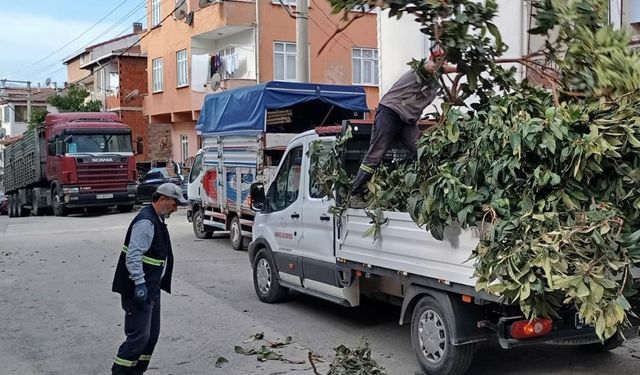 Körfez’de yeşil alanlara bakım