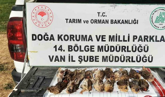 Kota aşımı yapan 3 avcıya 57 bin 373 lira cezai işlem uygulanacak