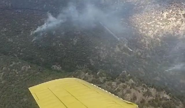 Manisa’daki orman yangınına müdahale devam ediyor