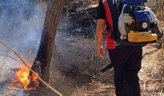 Mardin’de ormanlık alanda çıkan yangın söndürüldü