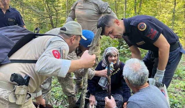 Ormanda kaybolan yaşlı kadın bulundu