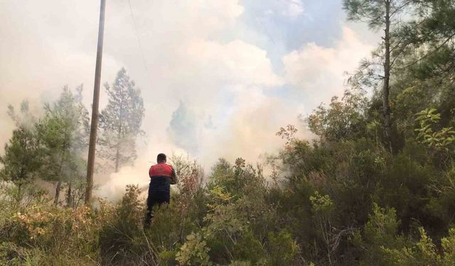 Osmaniye’de ormanlık alanda çıkan yangın büyümeden söndürüldü