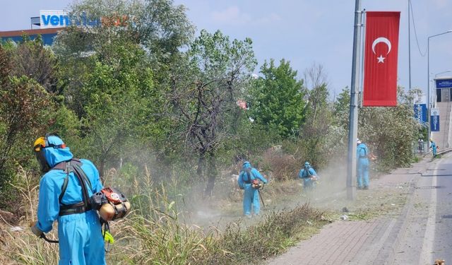 Park ve bahçelerde sonbahar temizliği