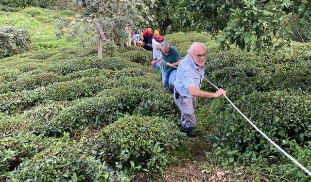 Rize’de ilkel teleferikten düşen kadın yaralandı