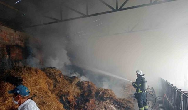 Samanlıkta çıkan yangında 250 balya saman kül oldu