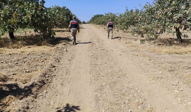 Şanlıurfa’da fıstık hırsızları suçüstü yakalandı