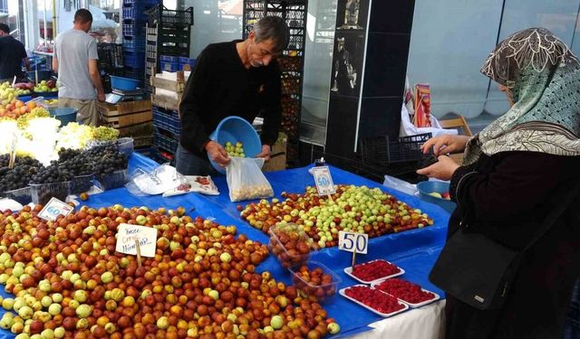 Şifa deposu hünnap tezgahlarda yerini aldı