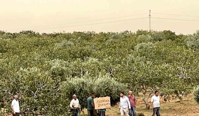 Suruç’ta köylülerden Şanlıurfa Büyükşehir Belediyesi’ne imar tepkisi