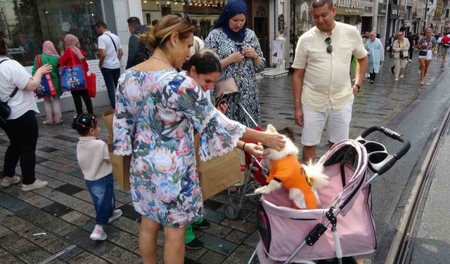 Taksim Meydanı’nda bebek arabasında gezdirilen köpek ilgi odağı oldu