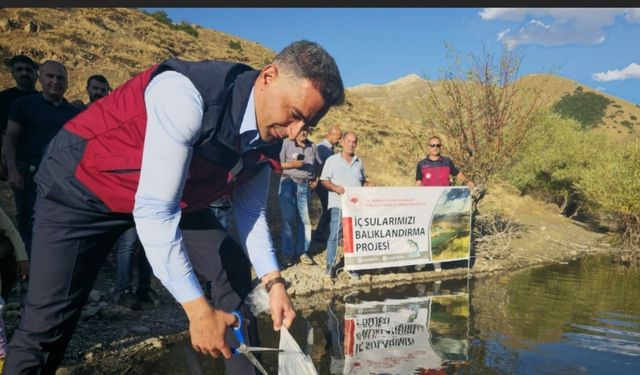 Tunceli’de 1 milyon 670 bin yavru sazan salındı