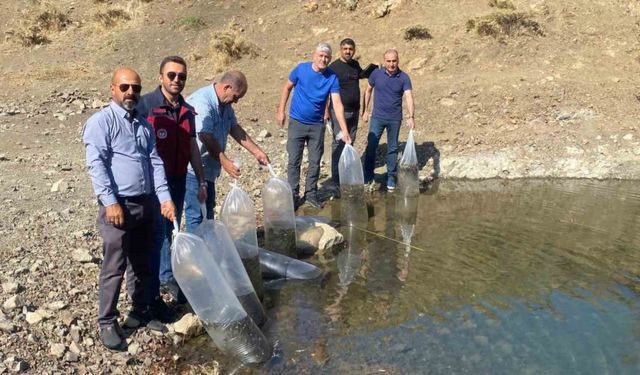 Tunceli’de doğal göle, 80 bin pullu yavru sazan bırakıldı