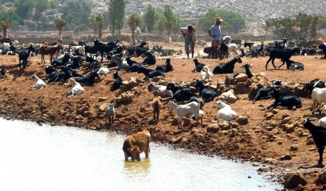 Turizm kenti Marmaris’teki asırlık su hikayesinde mutlu sona yaklaşıldı