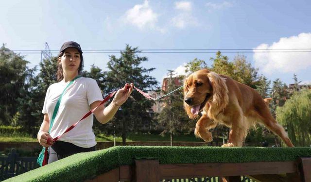 Türkiye’nin en kapsamlı Köpek Eğitim Merkezi Ümraniye’de