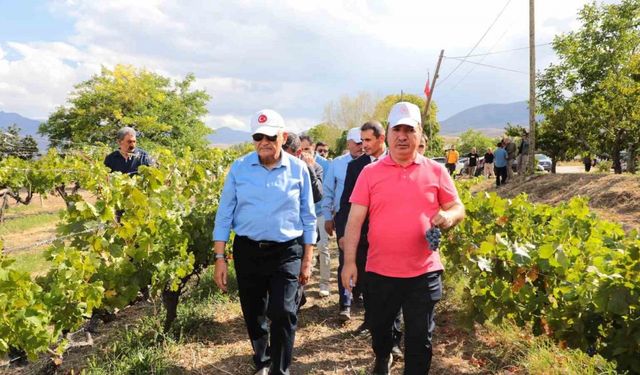 Yıldırım yeni üzüm çeşitleri hakkında bilgi aldı