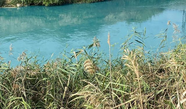 Çorlu Deresi'nin rengi değişti