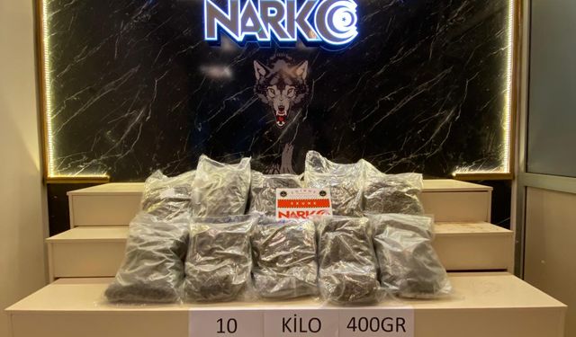 Edirne'de 10 kilo 400 gram skunk ele geçirildi