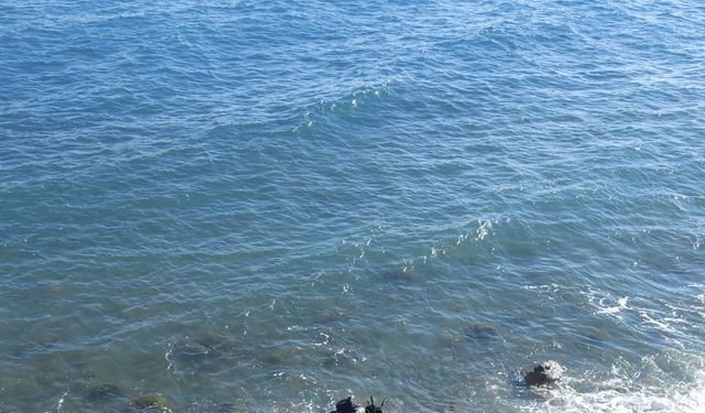 Tekirdağ'da devrilen motosikletin sürücüsü öldü