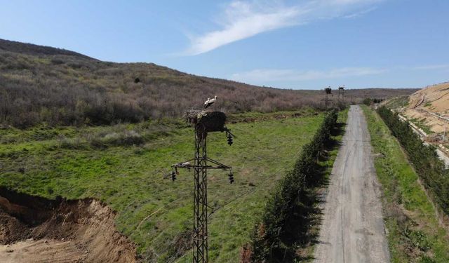 TREDAŞ, doğadaki canlıları koruma çalışmalarını sürdürüyor