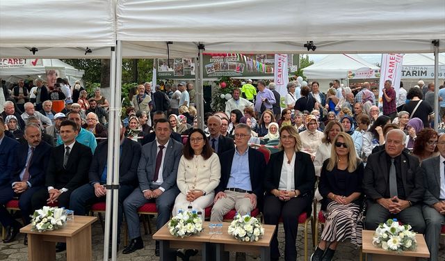 Yalova'da 11. Subaşı Kivi Festivali düzenlendi