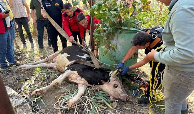 20 metrelik su kuyusuna düşen ineği itfaiye kurtardı