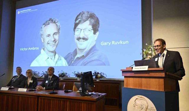 2024 Nobel Tıp Ödülü’ne ABD’li biyologlar Ambros ve Ruvkun layık görüldü