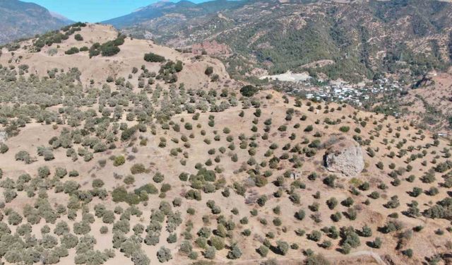 3 bin yıllık tarihi kentteki tiyatro ve stadyum gün yüzüne çıkmayı bekliyor