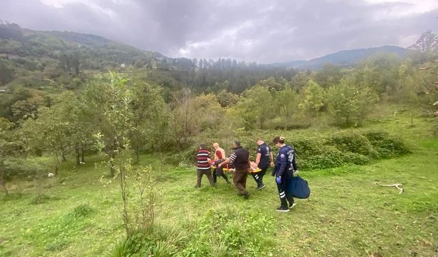 Ağaçtan düşen vatandaş 3 saat süren çaba ile hastaneye ulaştırılabildi