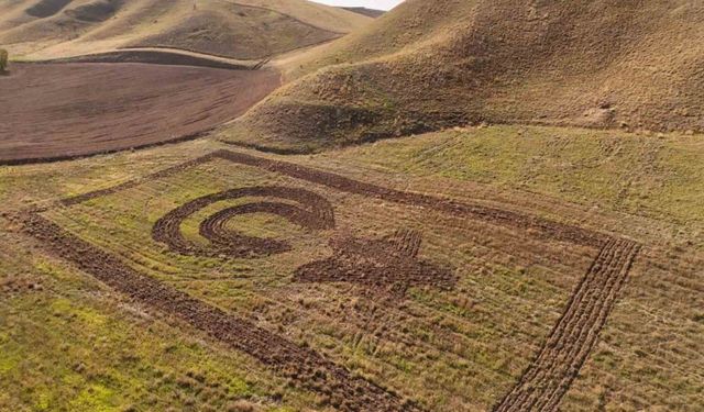 Amasyalı çiftçi tarlasına traktörüyle Türk bayrağı çizdi