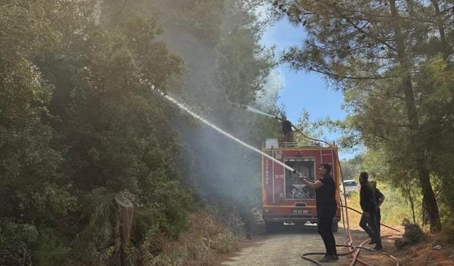 Antakya’da orman yangını kısa sürede söndürüldü