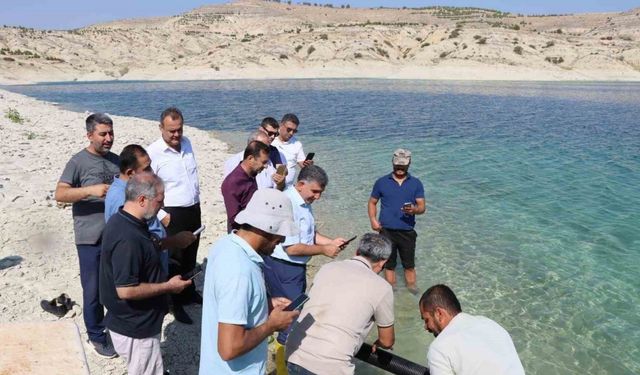 Atatürk Baraj Göleti’ne 2 buçuk milyon şabut balığı yavrusu bırakıldı