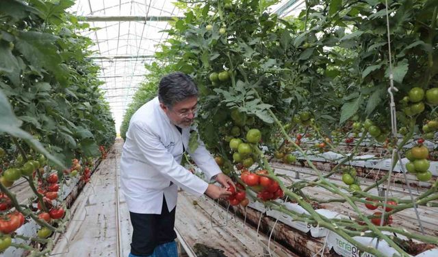 Bakan Yumaklı, Diyadin Tarıma Dayalı İhtisas Sera Organize Sanayi bölgesinde incelemelerde bulundu