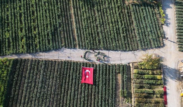 Cumhuriyetin 101 için zeytin fidanlarıyla Türk Bayrağı’nı oluşturdu