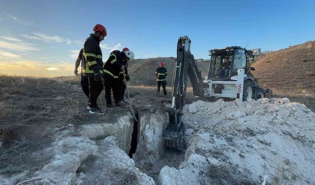 Düştükleri çukurda mahsur kalan iki yavru köpek 3 saat süren çalışma ile kurtarıldı