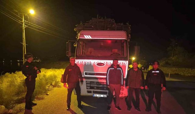 Elazığ’da orman suçlarıyla mücadelede sıkı denetim