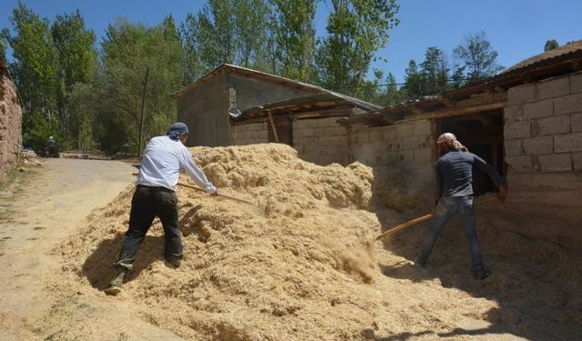 Erzincan’da çiftçiler kış için son hazırlıklarını tamamlıyor