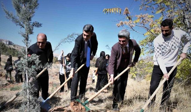 Fidanlar toprakla buluştu