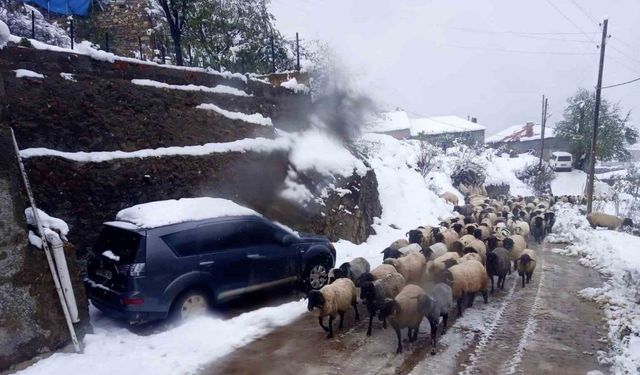 Giresun’da kar yağışı nedeniyle mahsur kalan çobanlar kurtarıldı