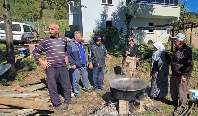 Giresun’un Kulakkaya Yaylası’nda geleneksel armut pekmezi yapımı başladı